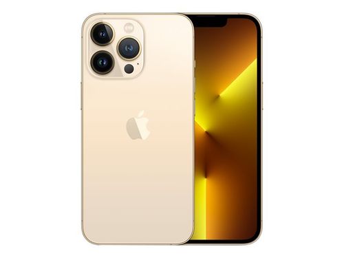 Apple iPhone 13 Pro - 256GB Gold - ohne Simlock